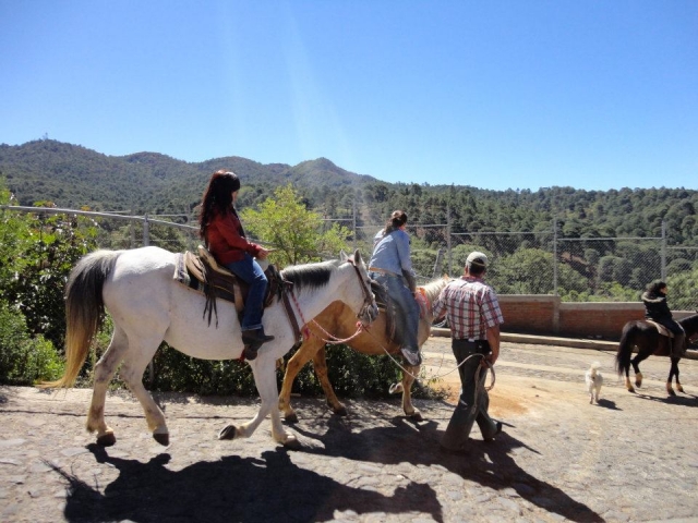 Guias especializados